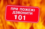 З початку року на пожежах в Україні загинуло 1 тис. 390 осіб