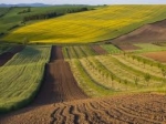 У Волинській області 48  територіальних громад  отримали землю у комунальну власність