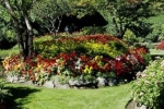 Квітникарство як один з напрямів декоративного садівництва