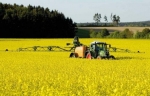 Уряд визначив напрямки підтримки фермерських господарств та кооперативів