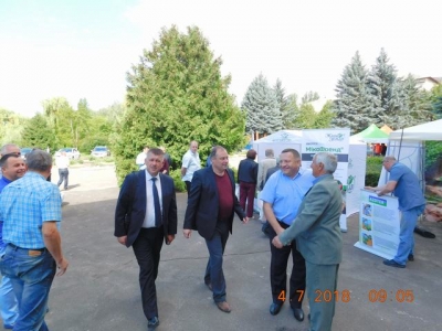 ДЕНЬ ПОЛЯ В РОКИНЯХ