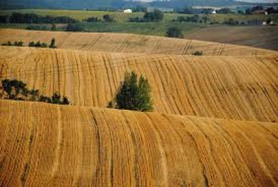 На Волині  в ході земельних торгів вартість права оренди на ділянку зросла уп&rsquo;ятеро