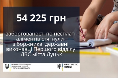 Державним виконавцем Першого відділу ДВС було стягнуто заборгованість по несплаті аліментів, яка становила 54 225 грн.