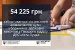Державним виконавцем Першого відділу ДВС було стягнуто заборгованість по несплаті аліментів, яка становила 54 225 грн.
