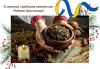 Шановні жителі Луцького району! Дорогі друзі та колеги! Сердечно вітаю вас зі світлим і радісним святом -  Різдвом Христовим!