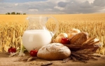 Сьогодні, 19 червня, в Україні відзначається День фермера