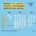 Вакцинація дорослих: які щеплення мають бути у людей 25+ років