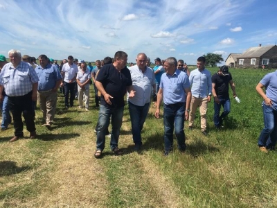 День поля в ТОВ &laquo;Фелікс-Агро&raquo;  Ківерцівський район