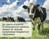 До уваги волинських аграріїв! Стартує прийом заявок на державну підтримку