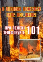 Рятувальники закликають громадян дотримуватися правил пожежної безпеки під час відпочинку в лісі!