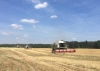 Початок жнив 2019 року