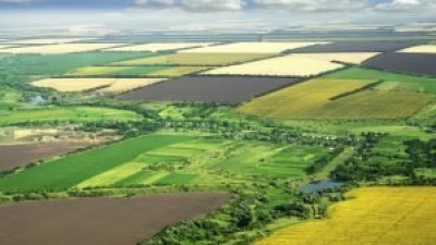 У Волинській області земельні торги, скасовані у зв&rsquo;язку з карантином,  заплановано провести в червні