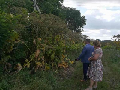 Робоча поїздка на територію Гіркополонківської сільської ради