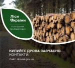 Складна зима та опалювальний сезон позаду. Саме зараз – найкращий час придбати дрова на наступний рік: без черг, проблем і зайвих витрат.