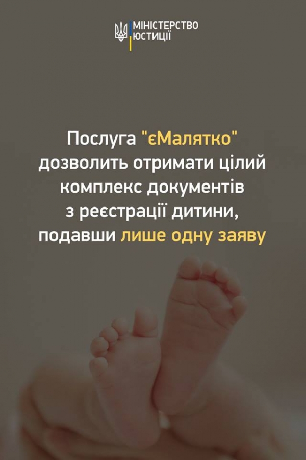 Друзі, хочу нагадати, що Міністерство юстиції та #УрядГройсмана розробили законопроект "єМалятко"