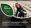 Лісівники Волині готуються до висадки саджанців