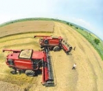 Чотирнадцять земельних ділянок віддали в оренду за посередництвом аукціонів у серпні