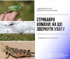 До відома волинян: в області працює «гаряча лінія» з питань виявлення саранових
