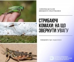 До відома волинян: в області працює «гаряча лінія» з питань виявлення саранових